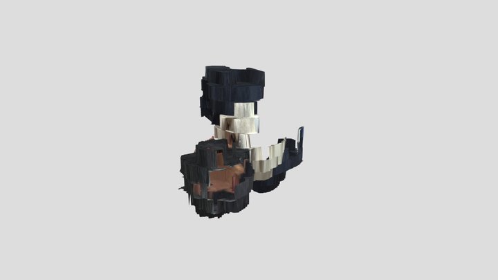 Self Portrait Cleaned Up 3D Model