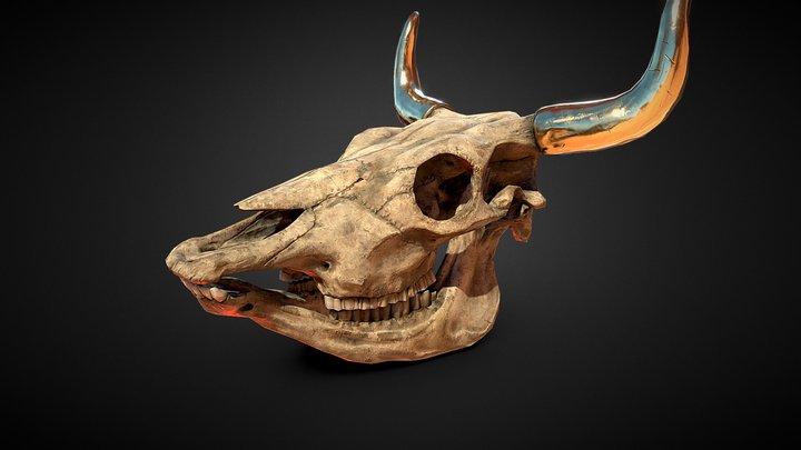 Cow Skull 3D Model