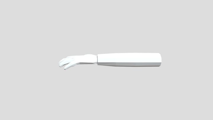 Animatable Arm 3D Model