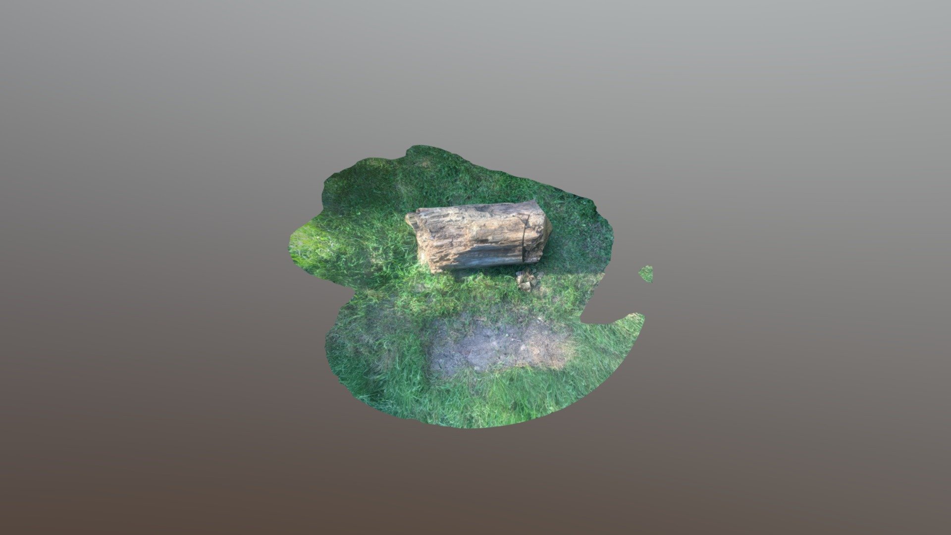 A TRNIO Model