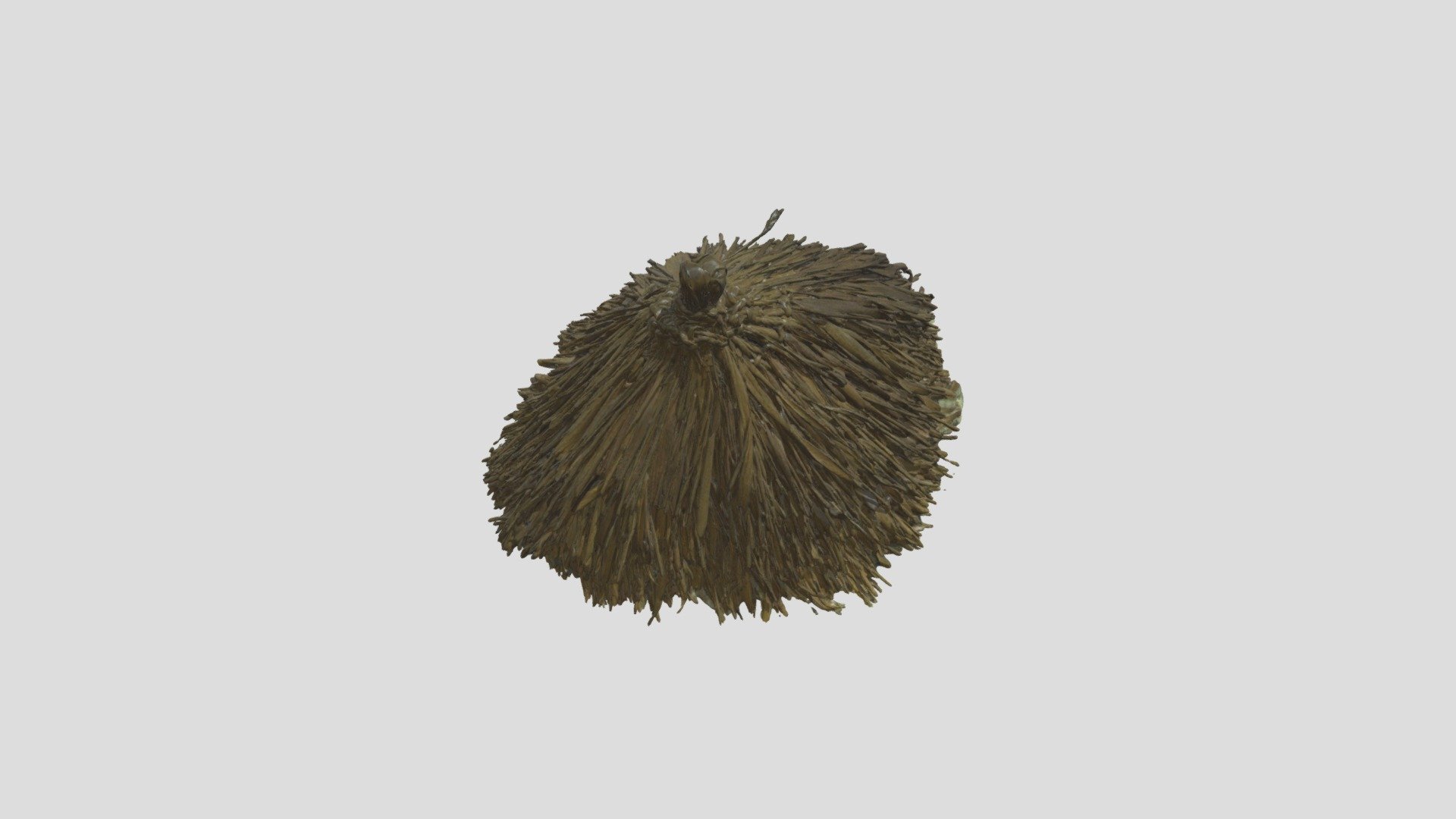 Hut