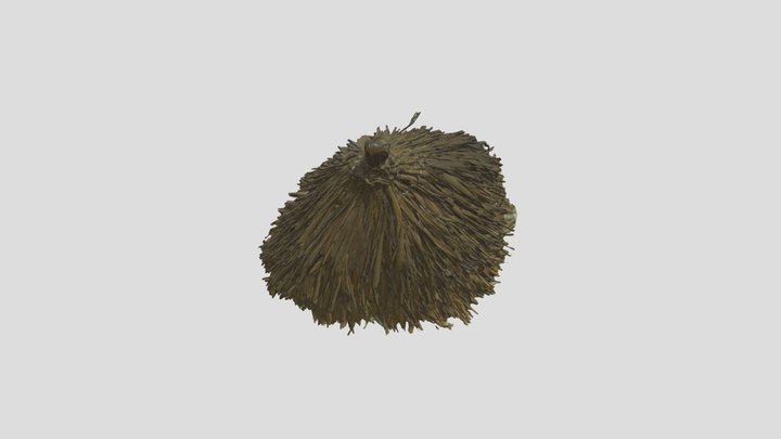 Hut 3D Model