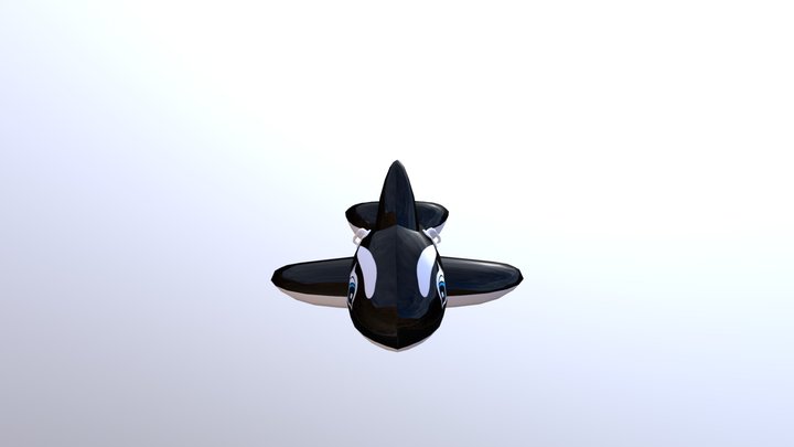 Orca / Killer Whale