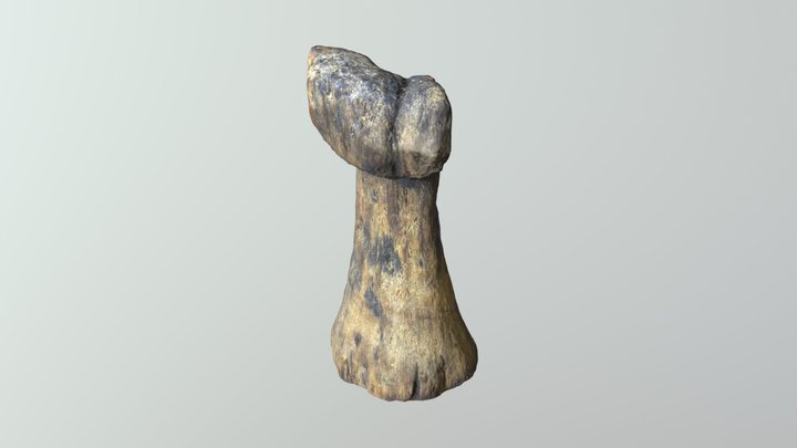 Piece n.2. 3D Model