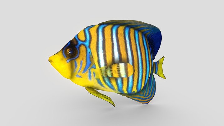 Fish0528 3D Model