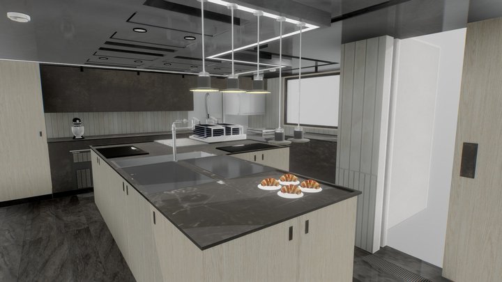 Project D Owner Galley 3D Model