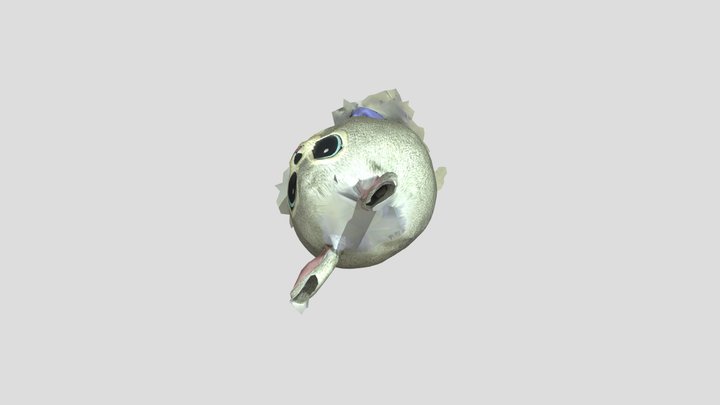 Segundo Modelo Conejo 3D 3D Model