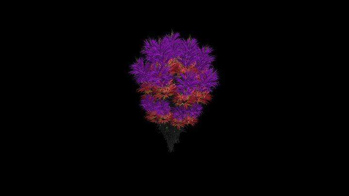 flowers 3D Model