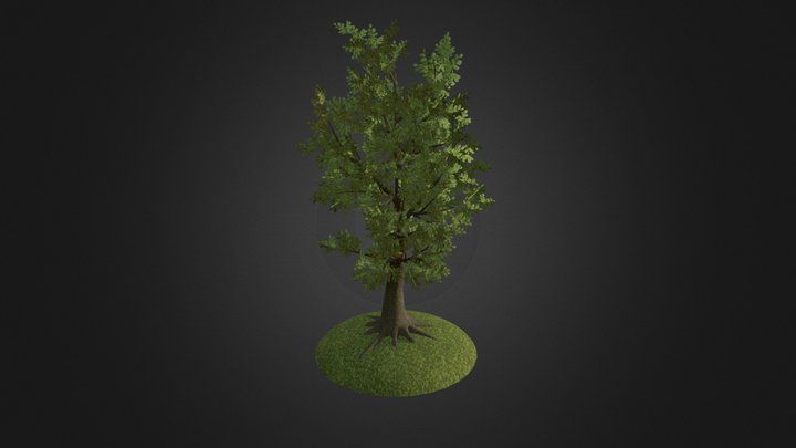 Tree Test 3D Model