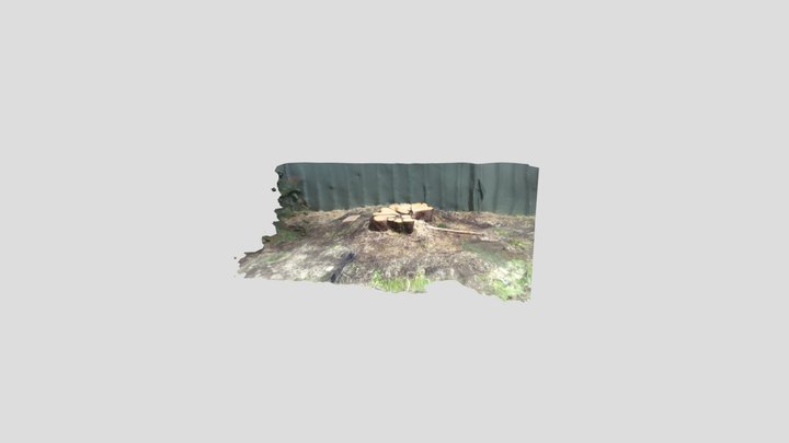 Tree Stump Model 3D Model