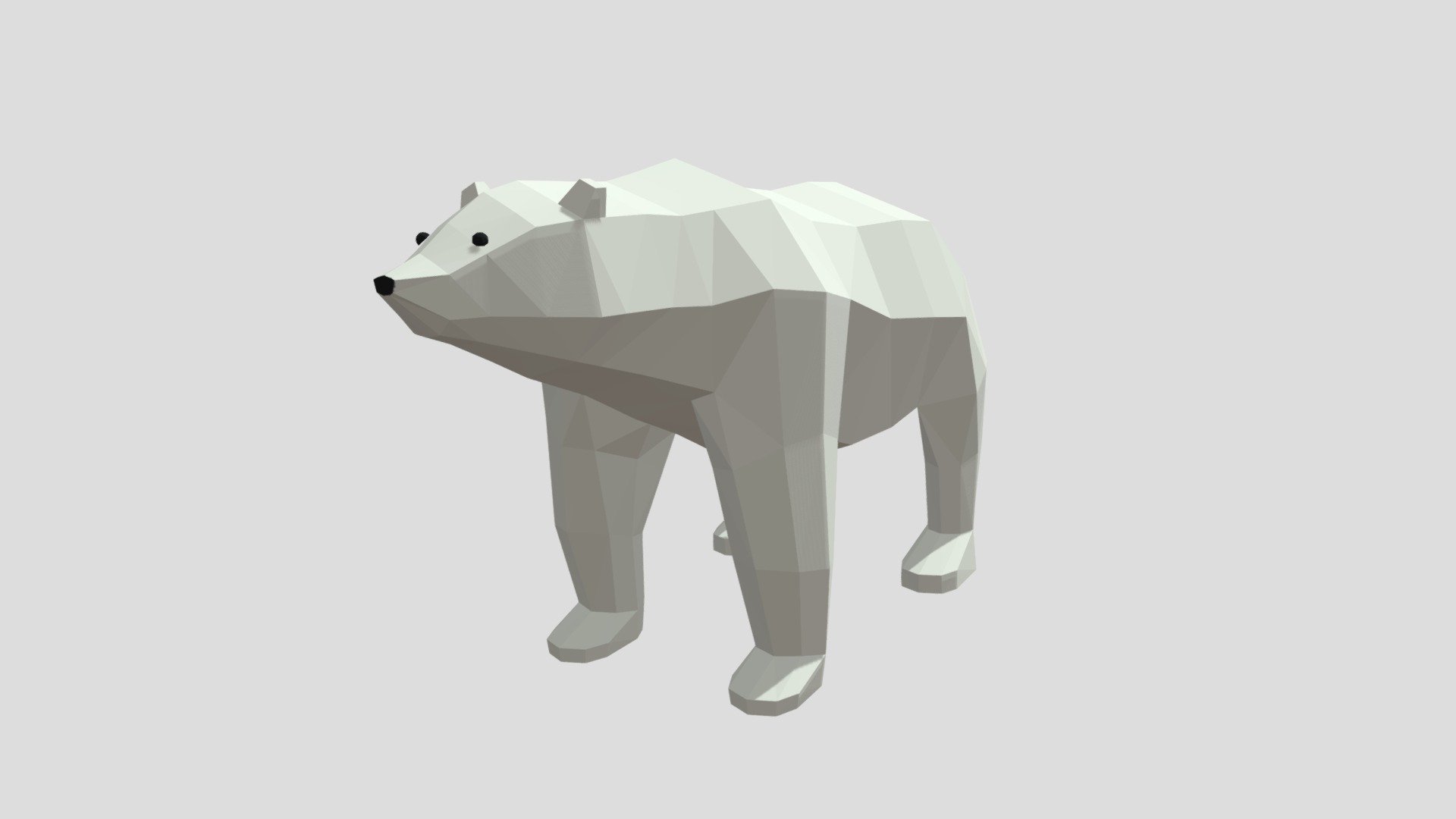 Polar Bear