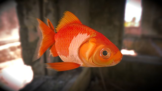 魚 3D Model