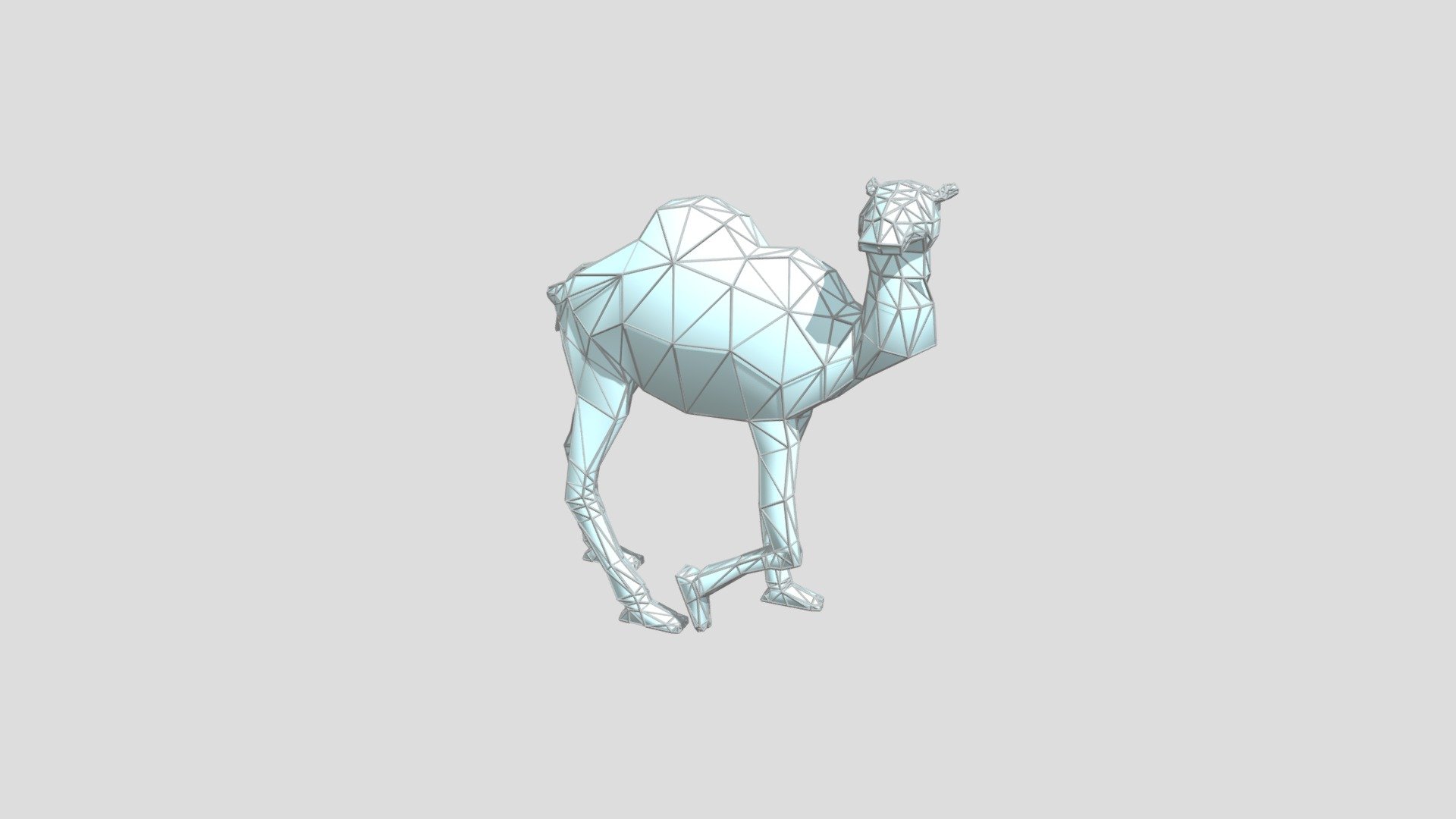 3d camel