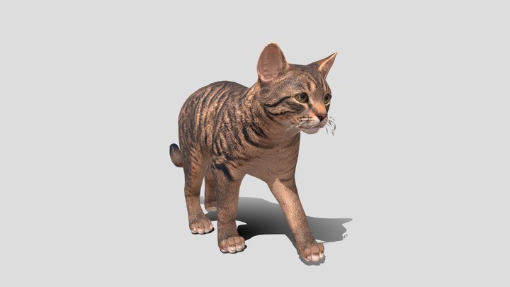 Medium poly Cat In Motion 3d Model Free
