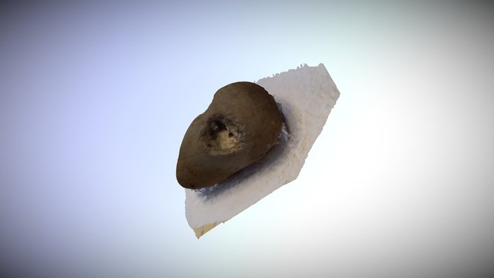 Slmantest1 3D Model