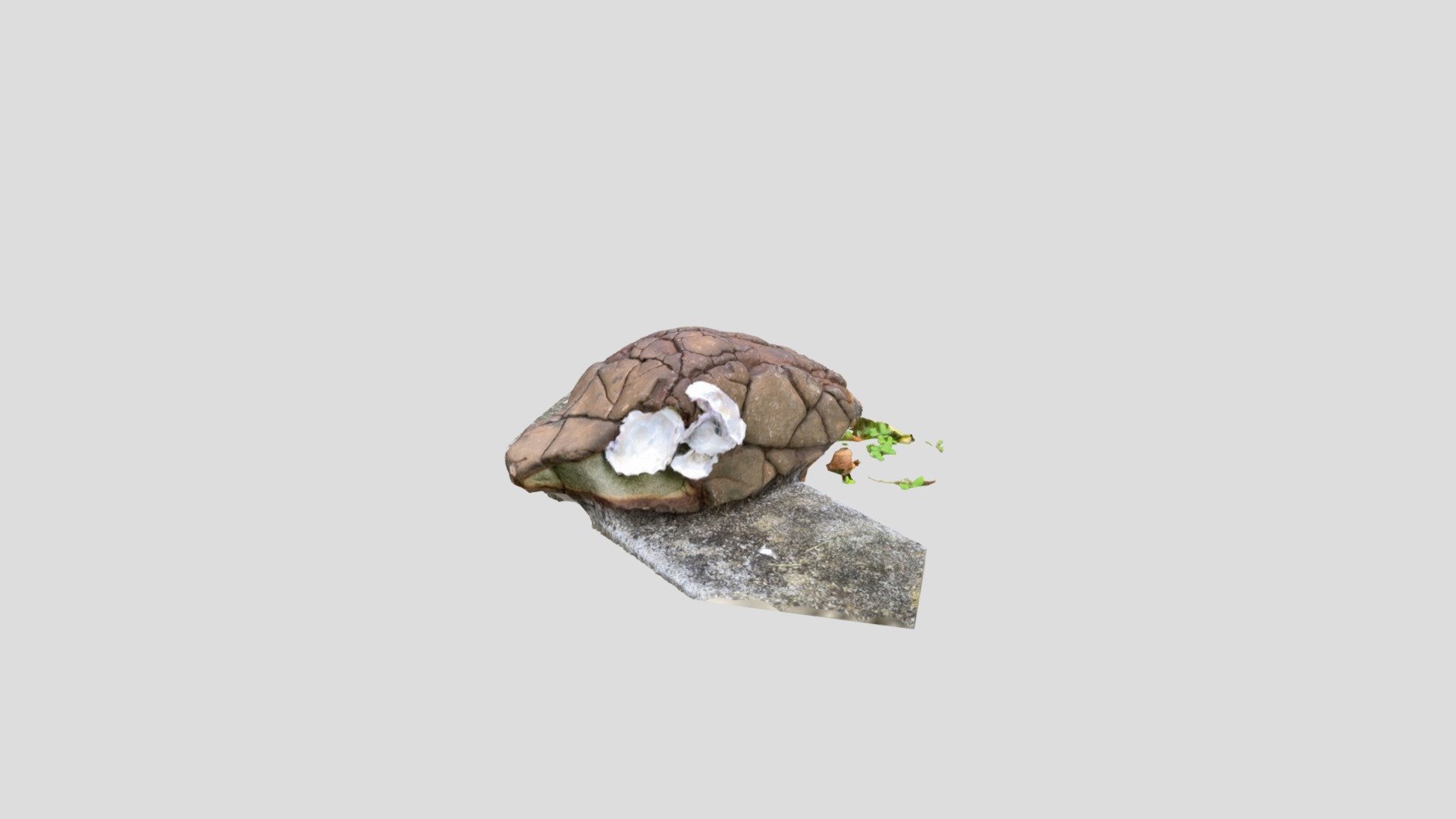 Garden Rock 1
