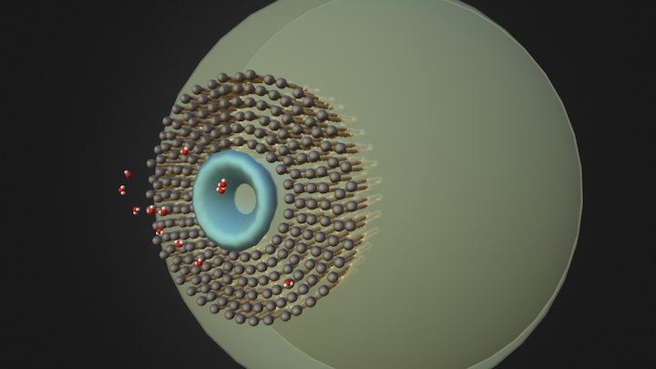 Simple Aquaporin Animated 3D Model