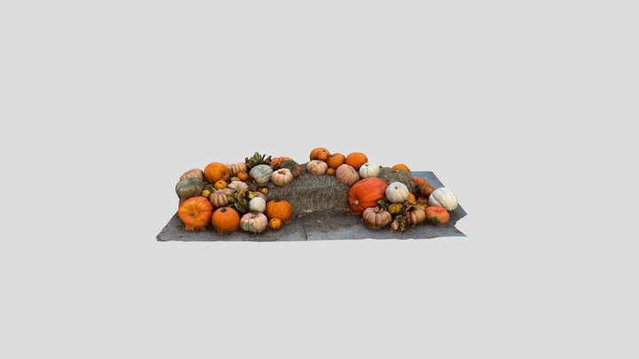 Fall Pumpkins Display 3D Model
