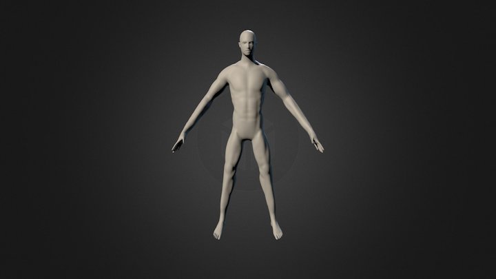 Anatomic Study 3D Model