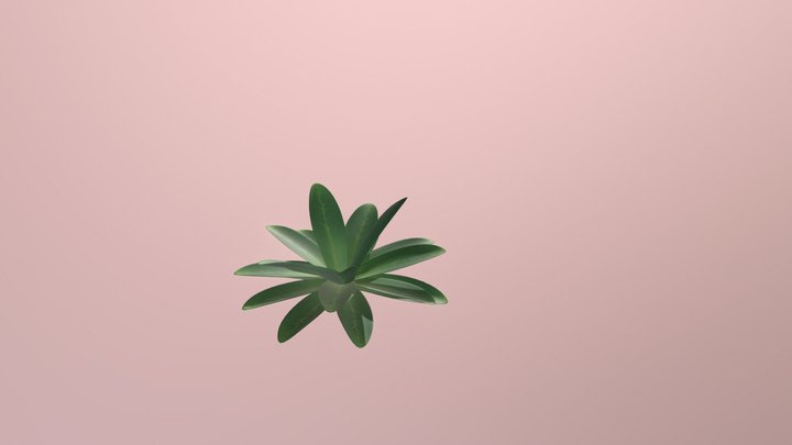 Plant 3D Model