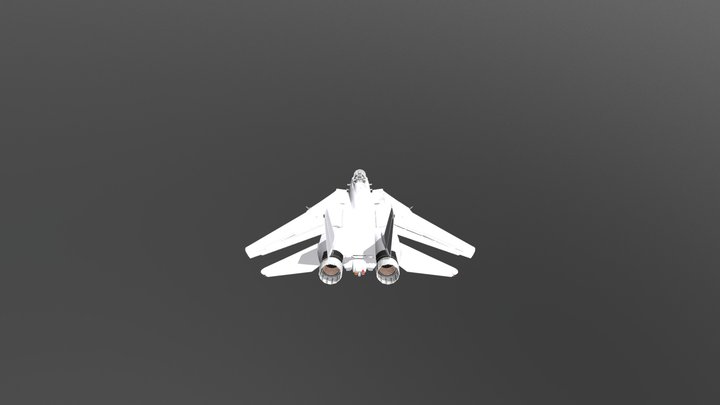 F14D 3D Model