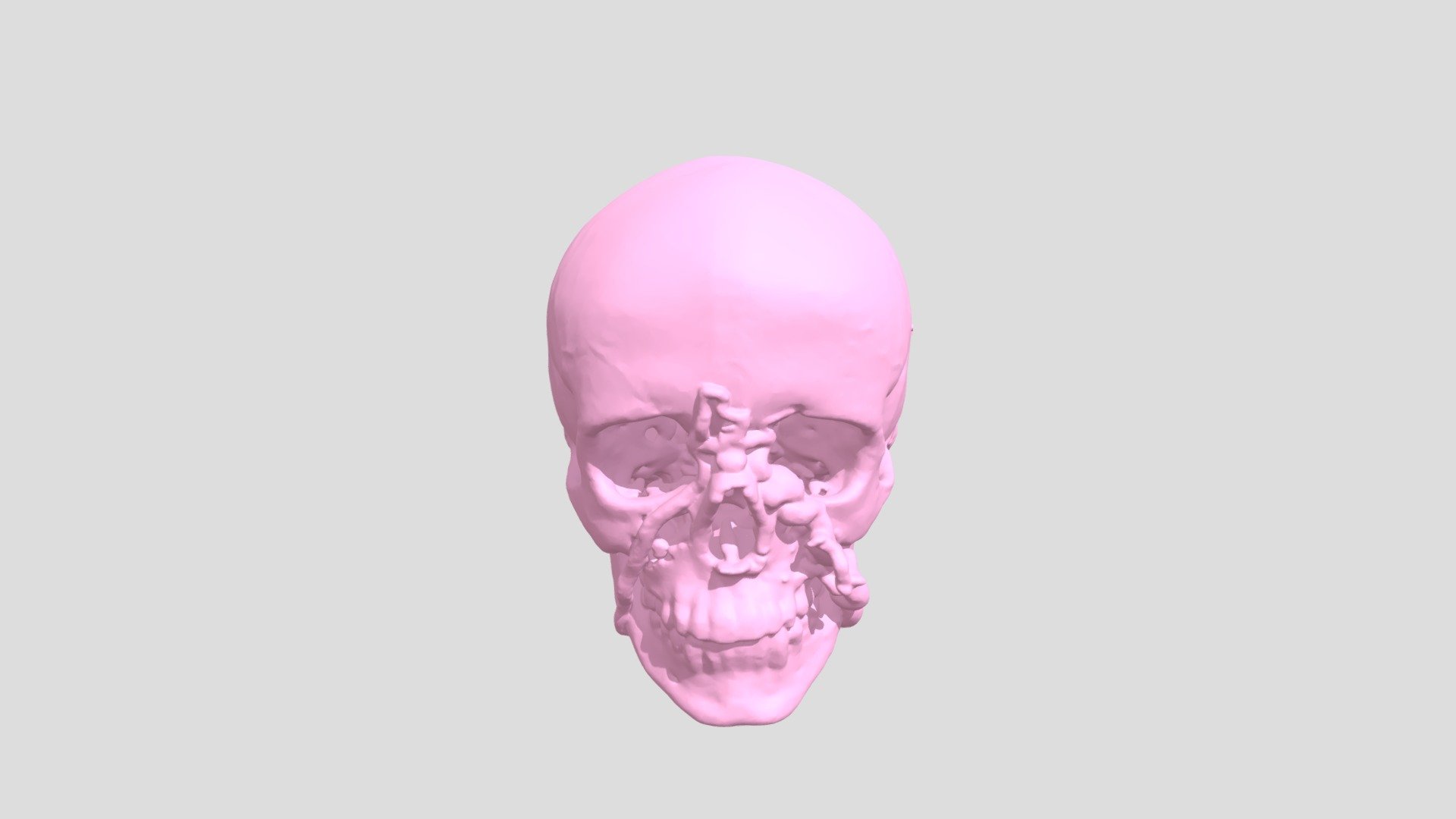 Skull02