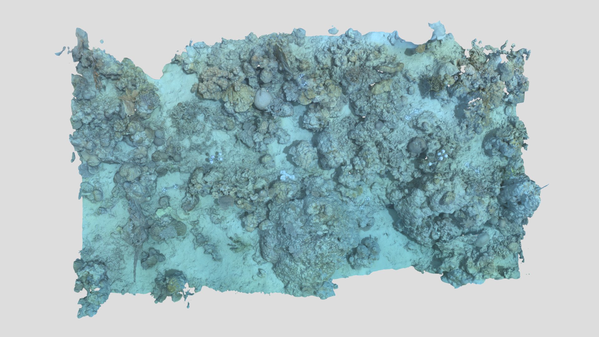 Masig_BA2D_P4_202104 - Download Free 3D model by EcoRRAP (@AIMSEcoRRAP ...