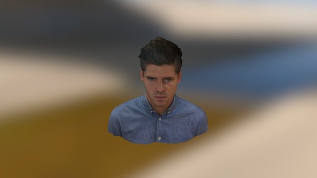 Head 3D Model