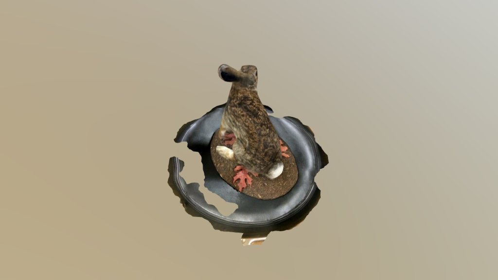 Rabbit