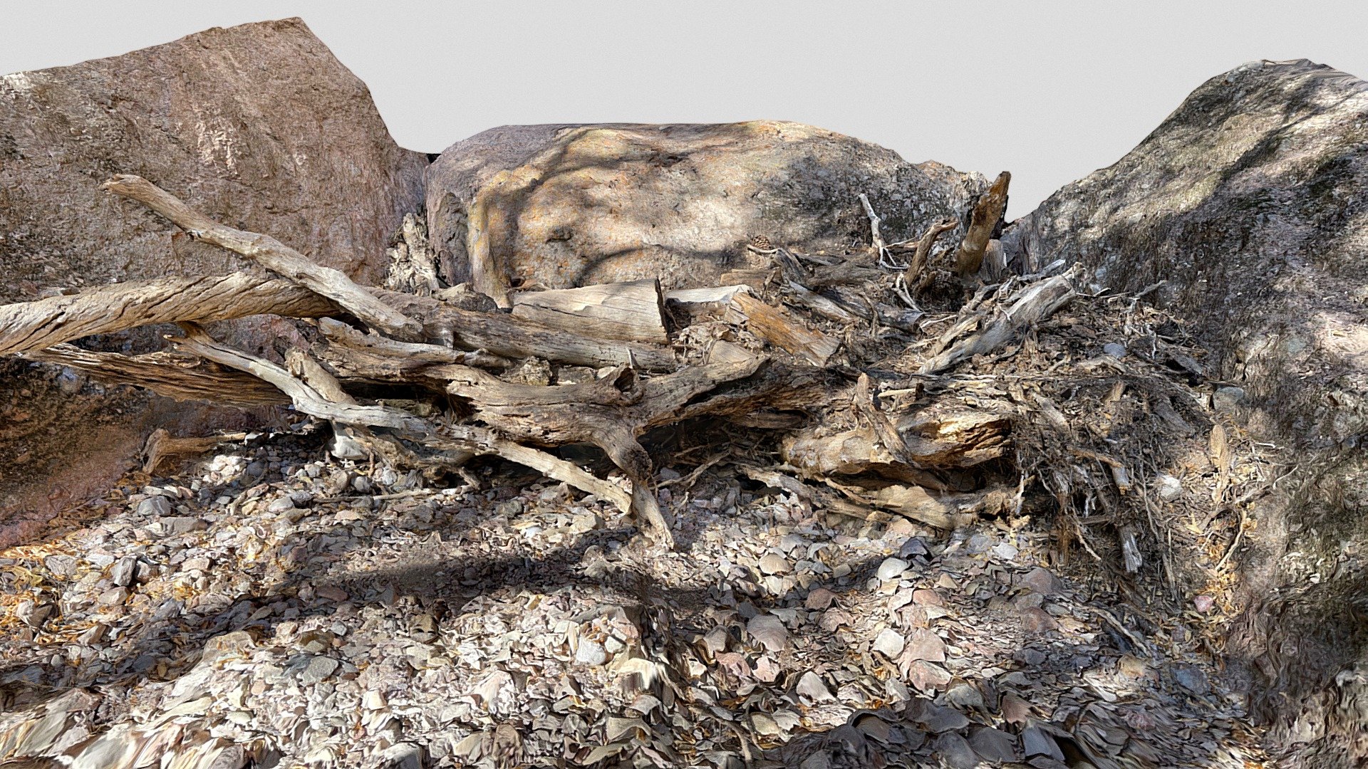 Dead wood, Pinnacles National Park