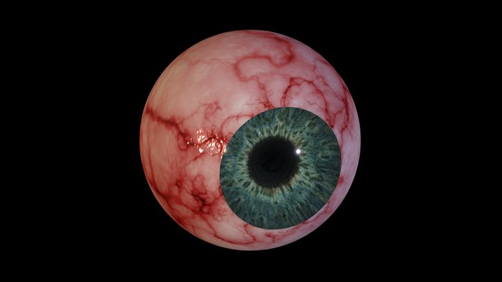 Eyeball - Photorealistic 3D Model