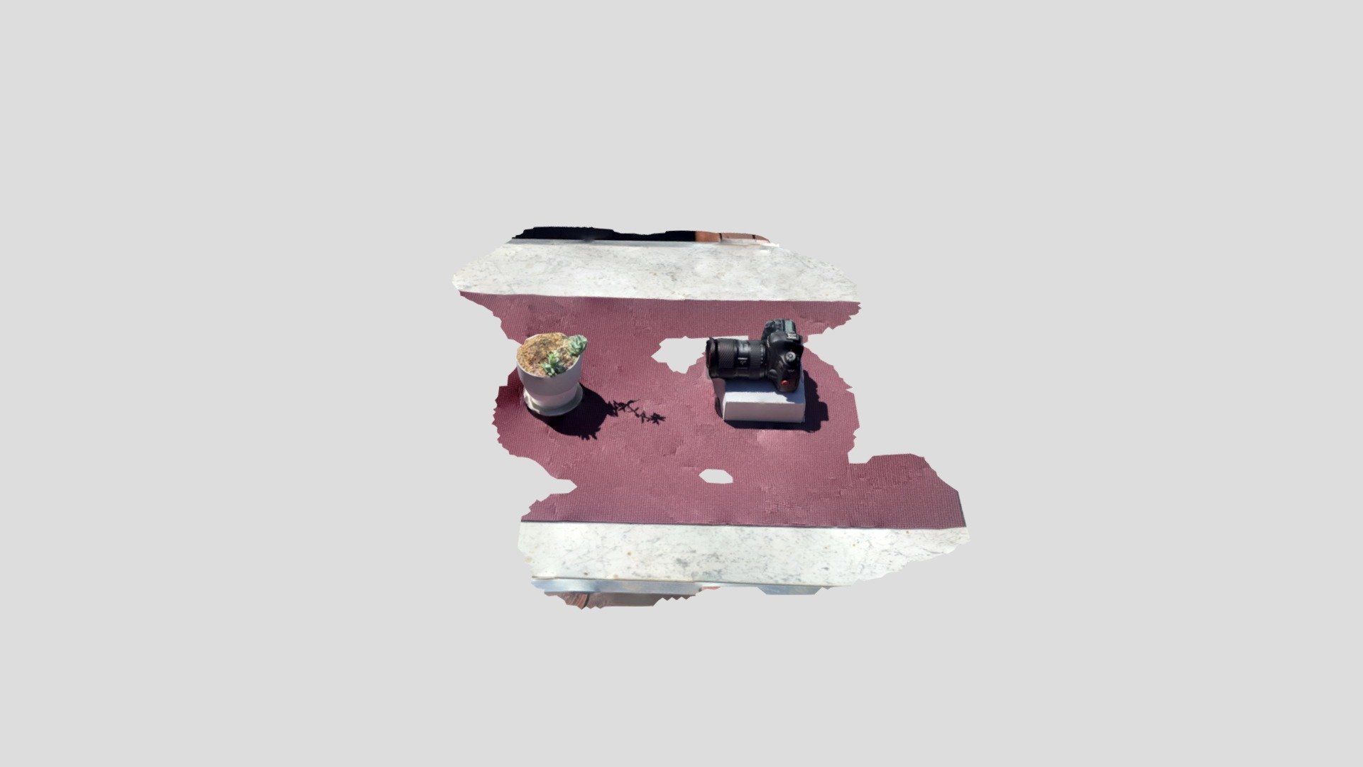 Camera and Plant