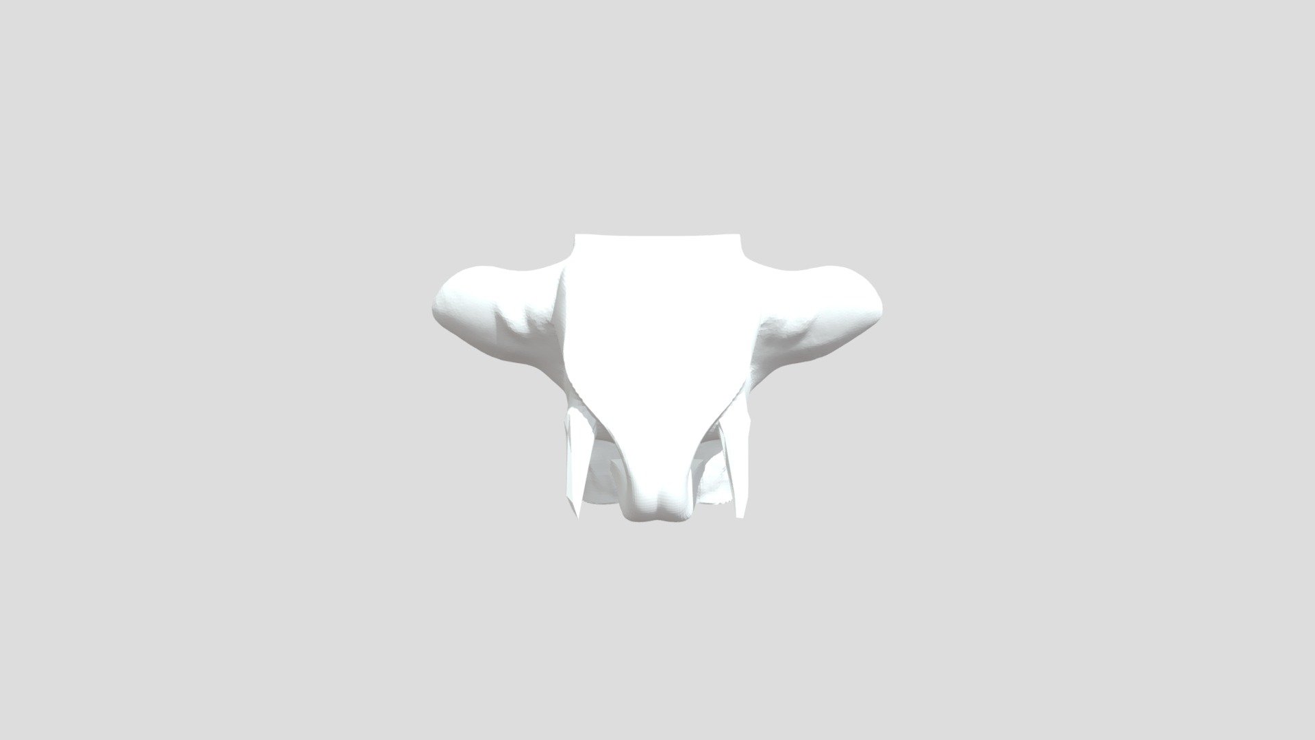 Janacek0308elephant02