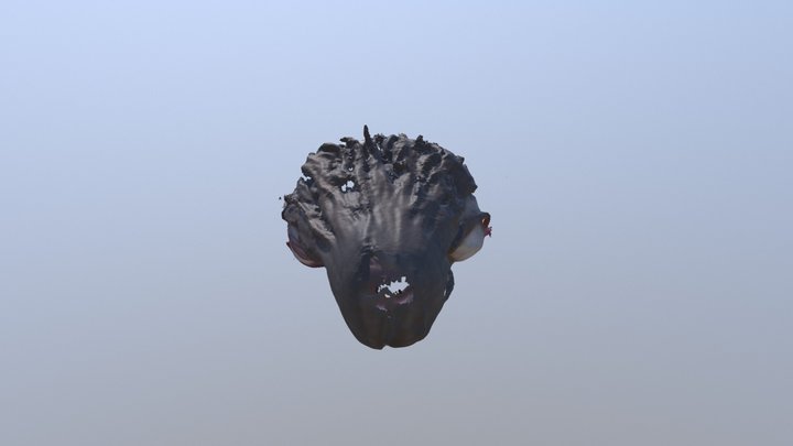 J 3D Model