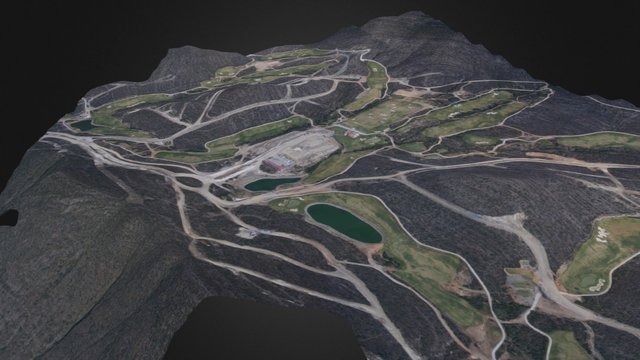 Campo De Golf Color Simplified 3d Mesh 3D Model