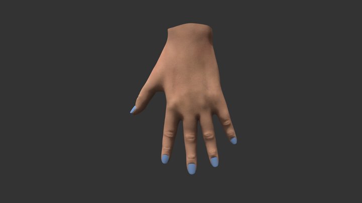 High Poly Female Hand 3D Model
