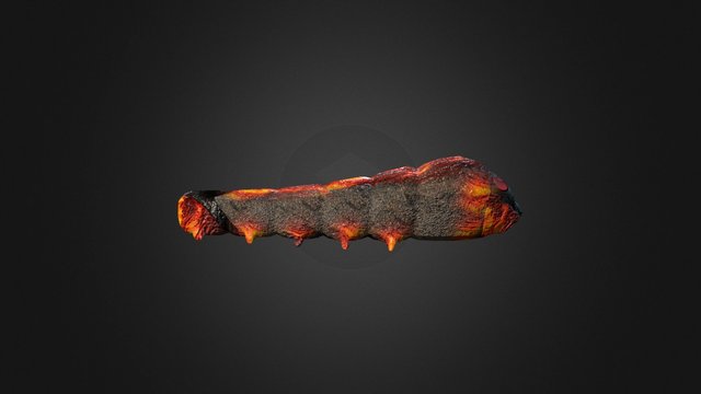 bug 3D Model