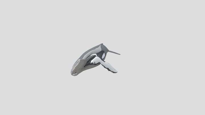 Shiny Whale 3D Model