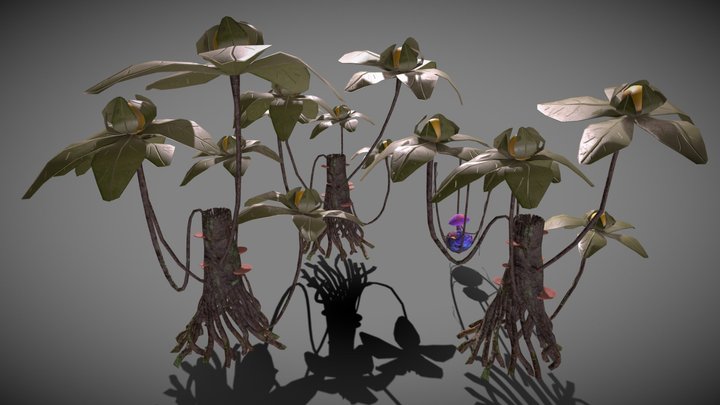 Projet Aaron - Stange Plant Collection