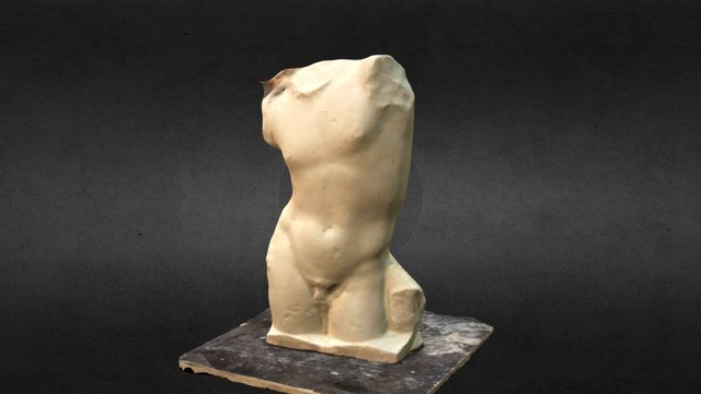 Buste 3D Model
