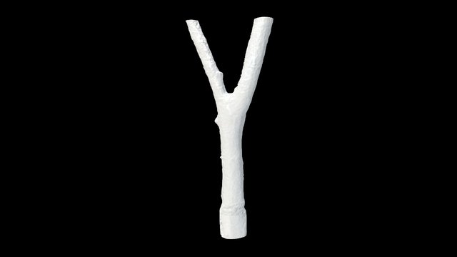 Branch2 All Frames 3D Model