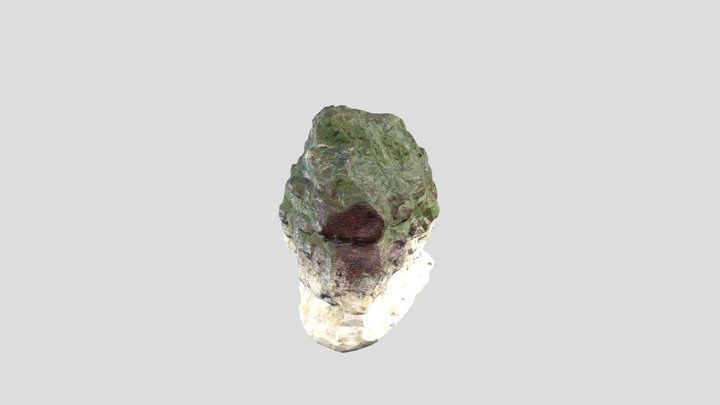 Coastal Cave Rock Study 3D Model