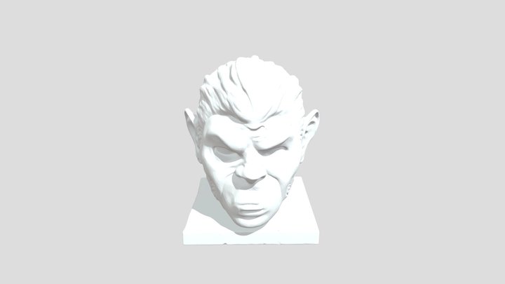 Monkey