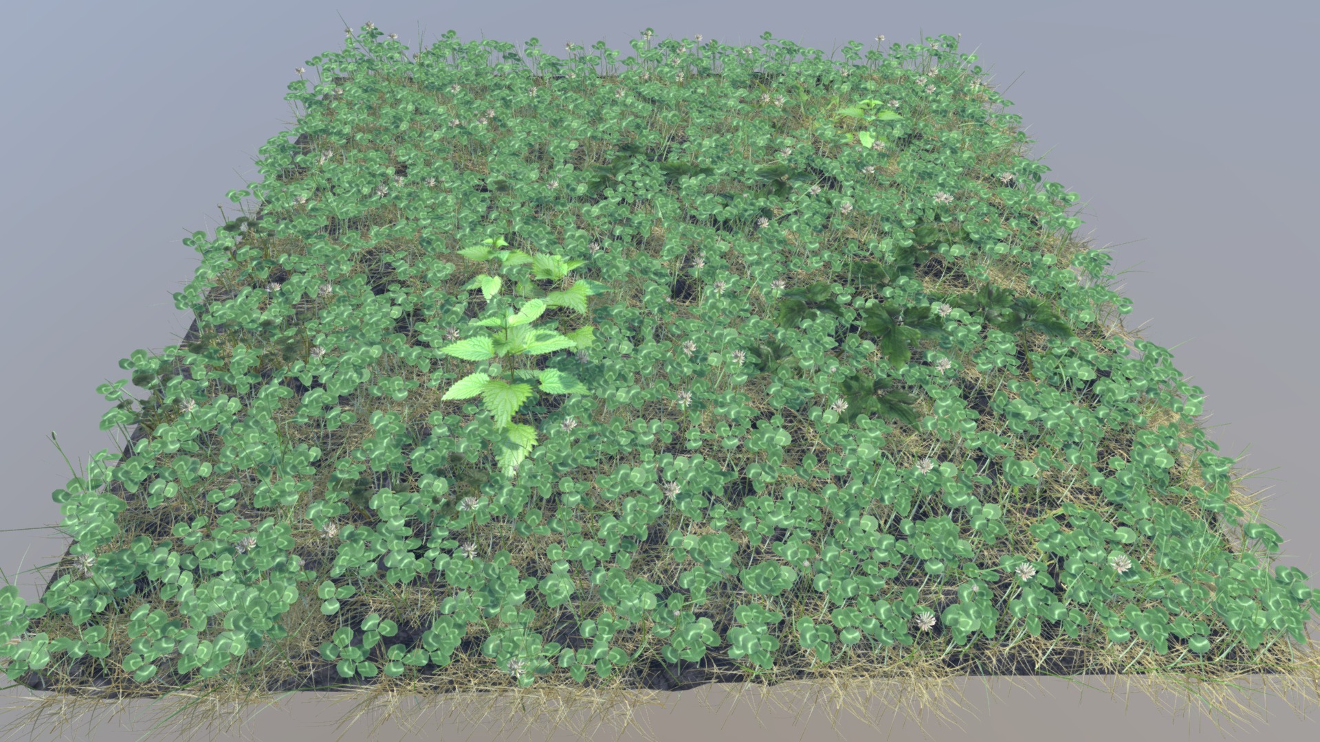 3D model Meadow Patch Clover - This is a 3D model of the Meadow Patch Clover. The 3D model is about a bush with green leaves.