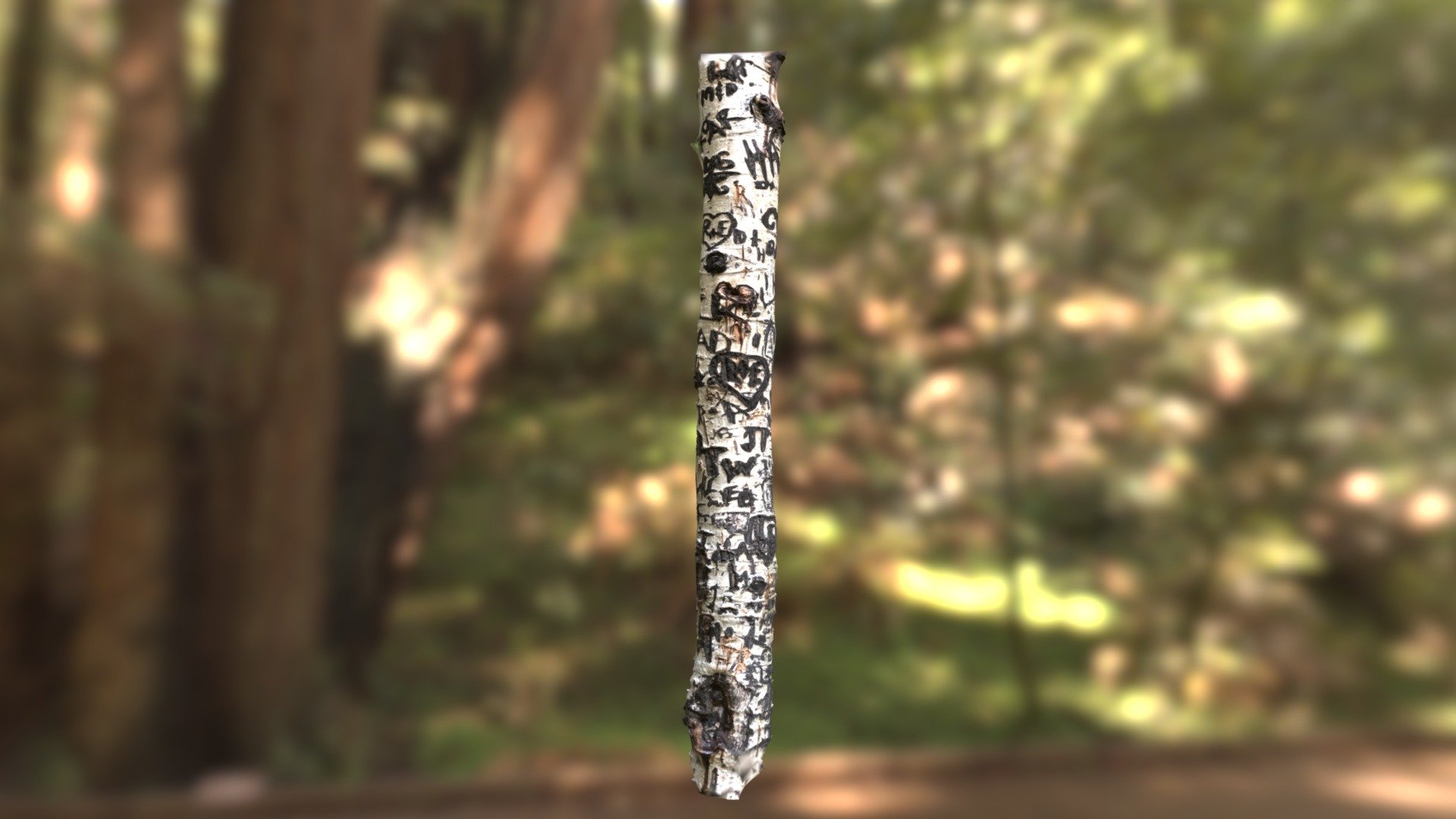 Aspen Tree Carvings (Populus tremuloides)