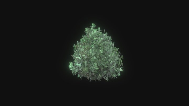 Bush 3D models - Sketchfab
