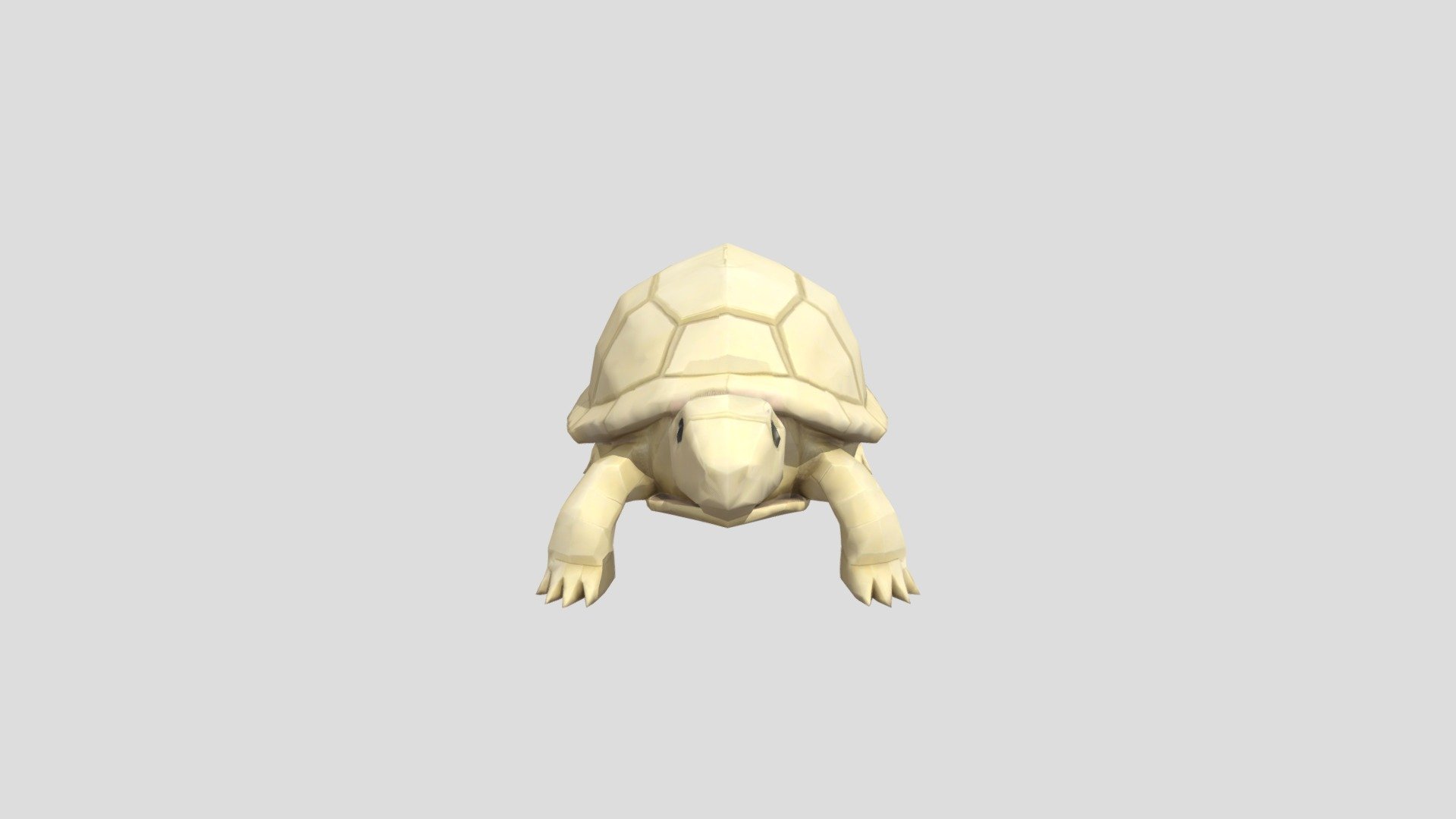 Geometric Turtle - 3D model by diemolizq [5c6adde] - Sketchfab