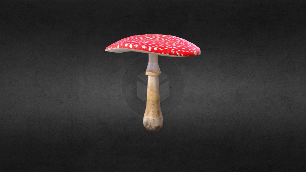 Amanita