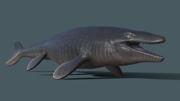 Mosasaurus 3D models - Sketchfab