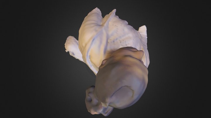 Barry Bonds 3D Model